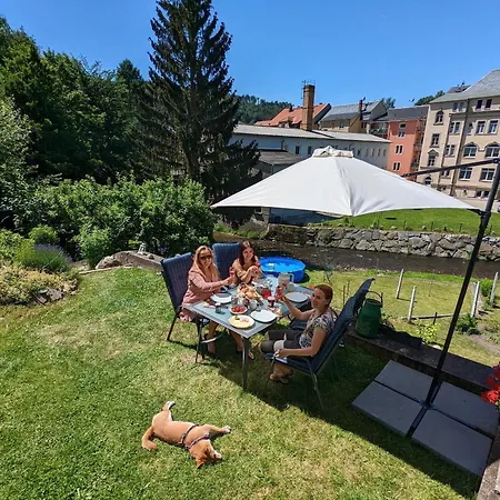 F1 - Urlaubsmagie - Helle Mit Sauna & Pool Lägenhet Sebnitz