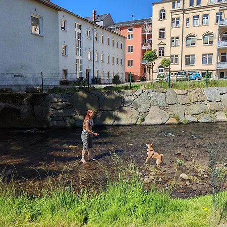 Apartamento Urlaubsmagie - Felsenpfad - Sauna & Saisonaler Pool - F1 Sebnitz