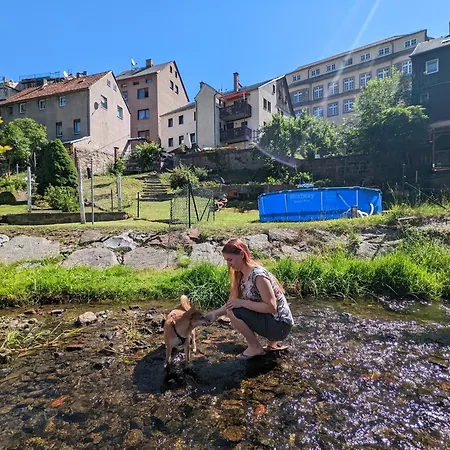 Apartamento Urlaubsmagie - Felsenpfad - Sauna & Saisonaler Pool - F1
